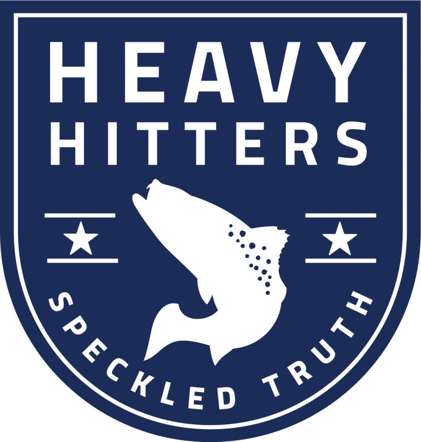 Heavy Hitters Program